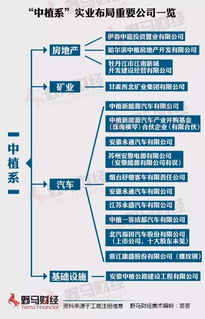金融全牌照背后 中植企业集团的金融知识流程外包实践